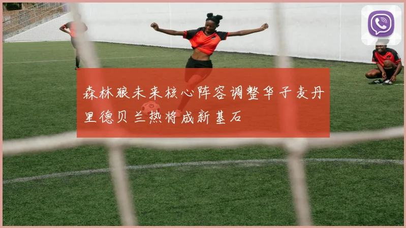 森林狼未来核心阵容调整华子麦丹里德贝兰热将成新基石